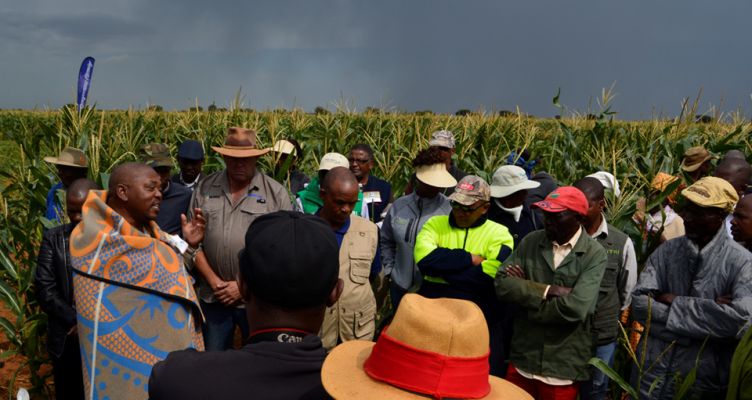 Climate Smart Agriculture Key to Improved Yields for Small Scale Farmers